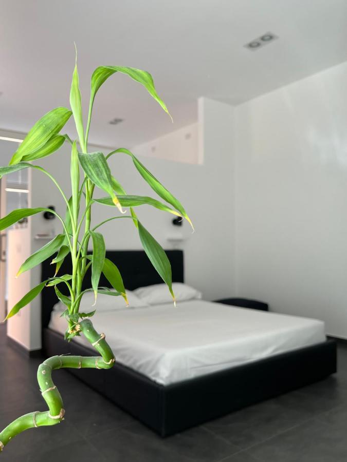 ראבנה Loft Galla Placidia מראה חיצוני תמונה